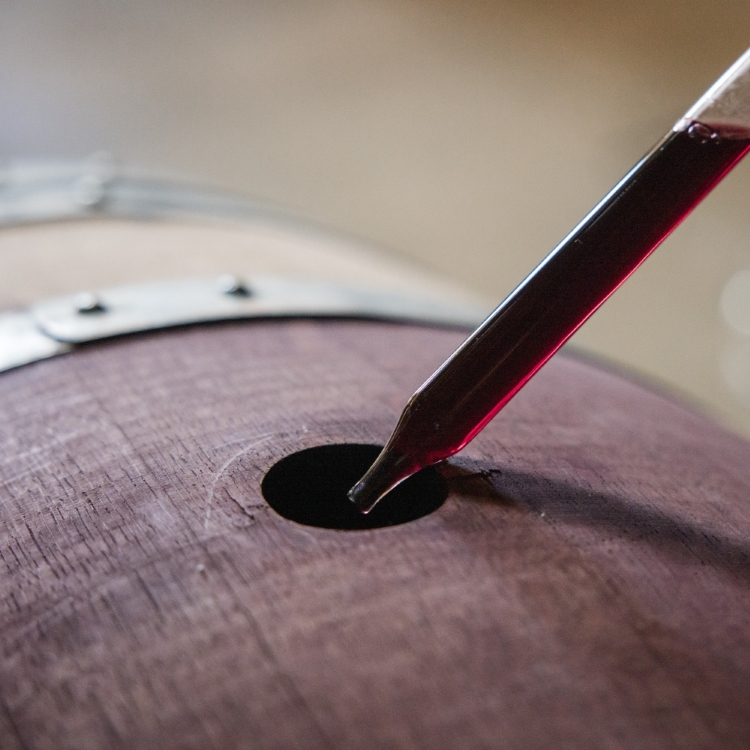 A wine thief drawing wine from a barrel.