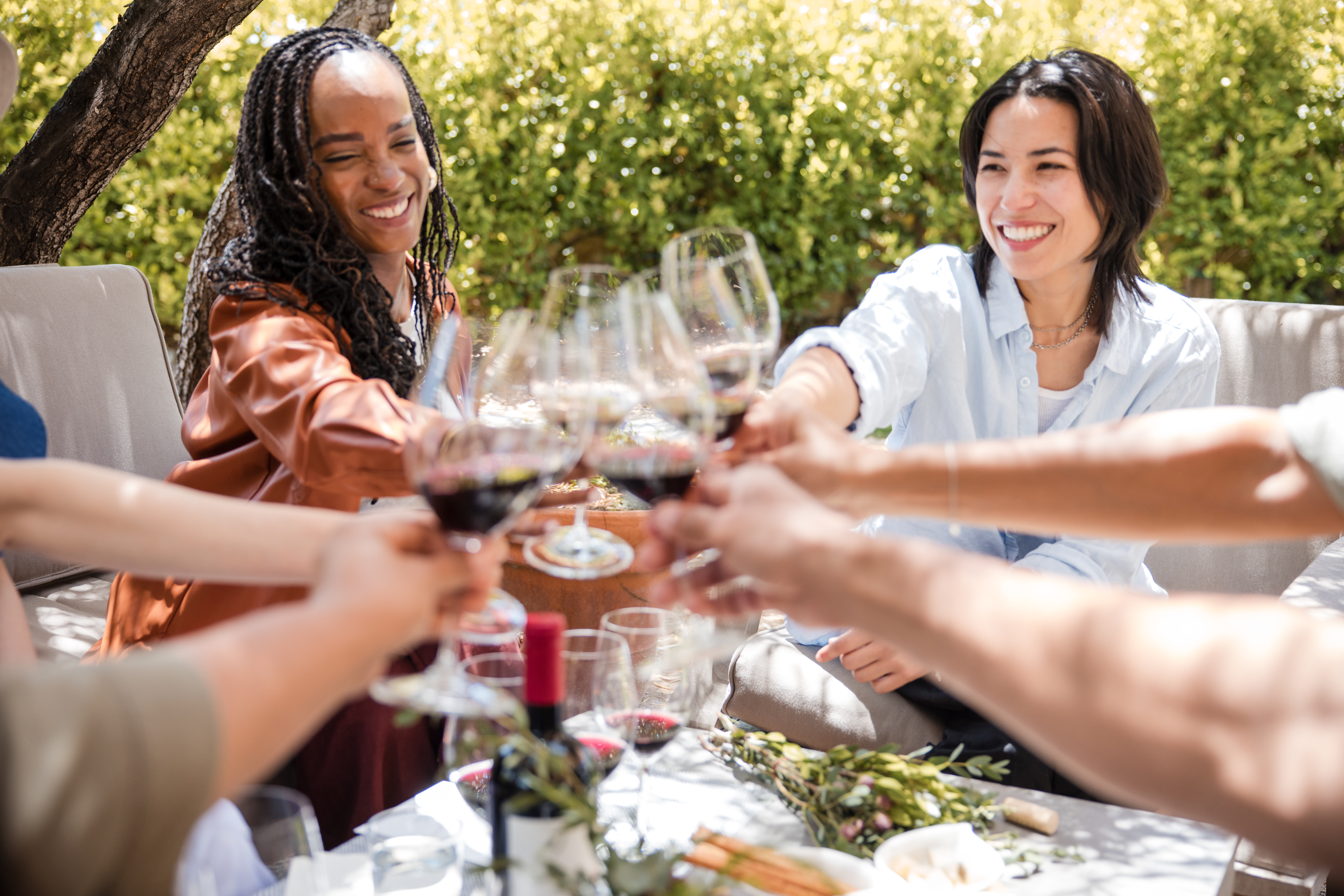 People cheersing wine glasses